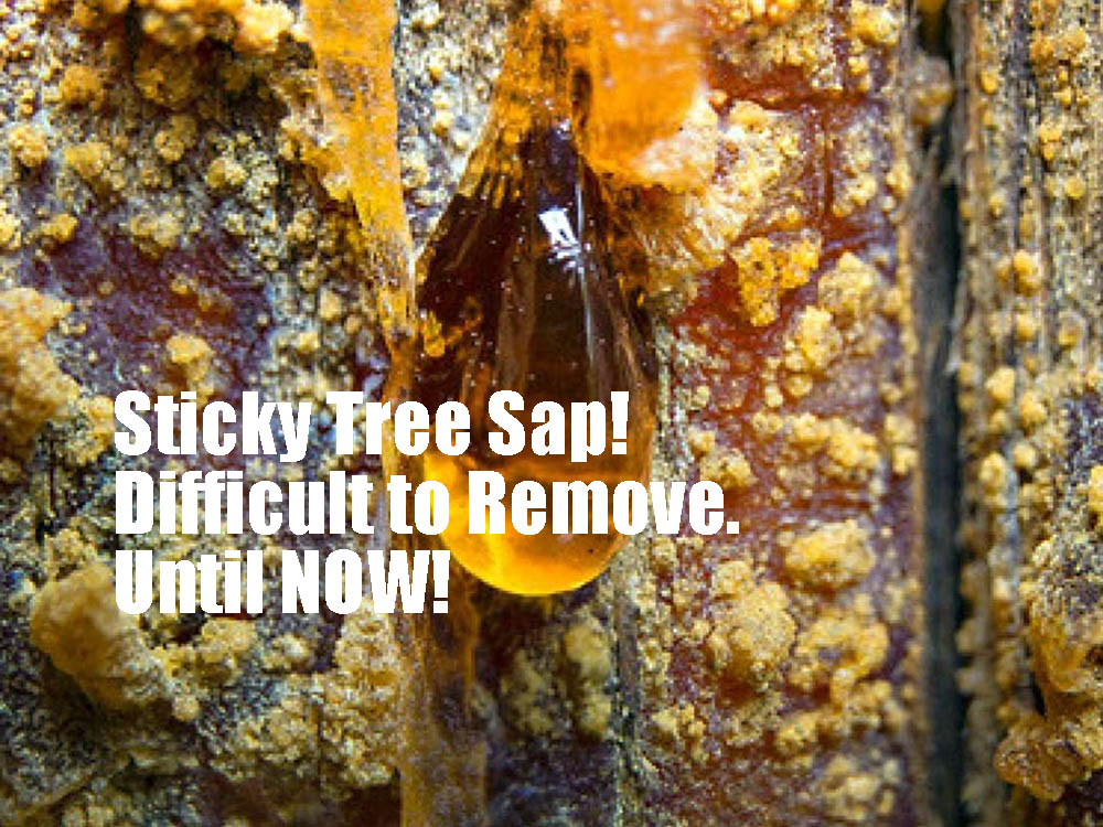 TreeSap Sap Zaprrr from BCM Biodegradable Solutions